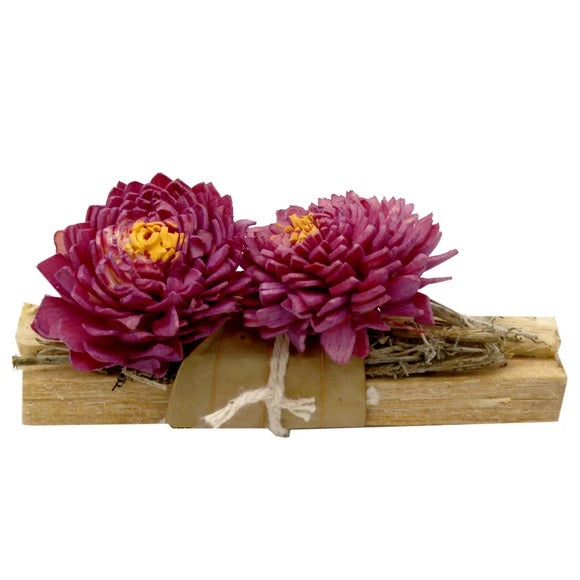 Palo Santo Scented Wood Sticks With Botanicals Premium Collection Counter Display