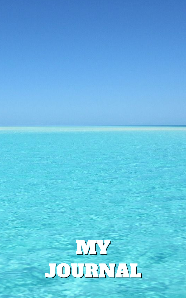 My Journal