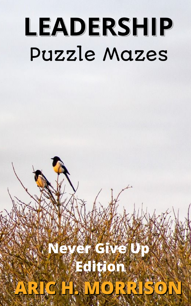 Leadership Puzzle Mazes