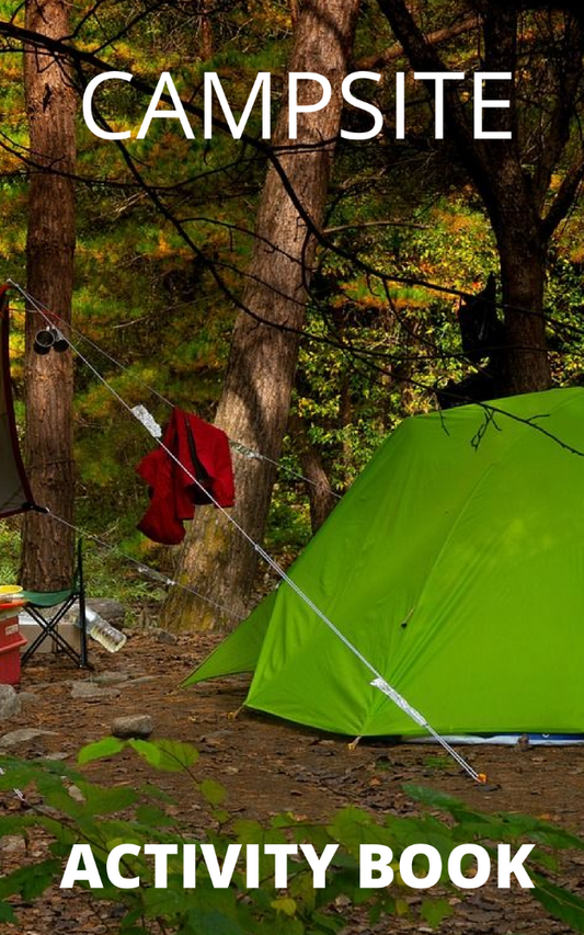 Campsite Activity Book