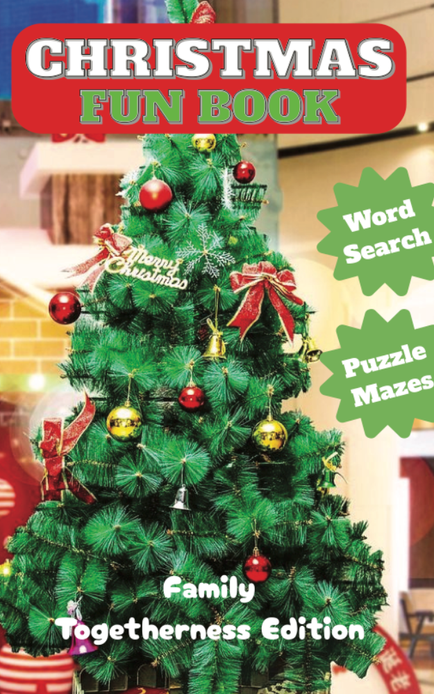 Christmas Fun Book