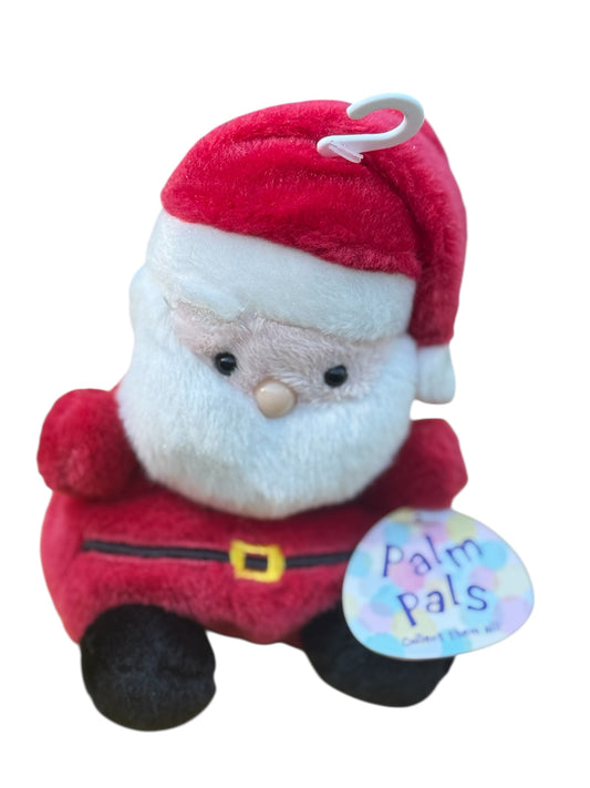 Palm Pal Santa
