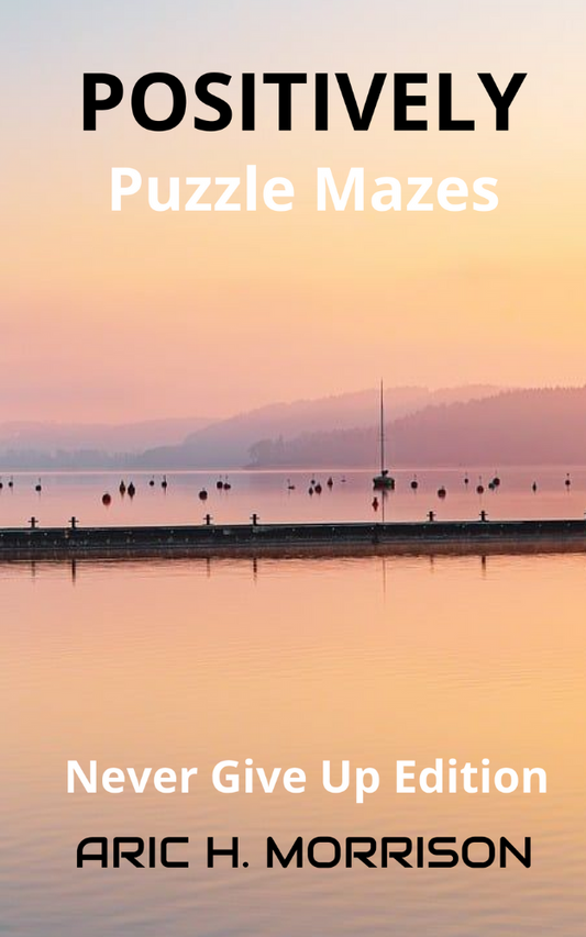 POSITIVELY PUZZLE MAZES
