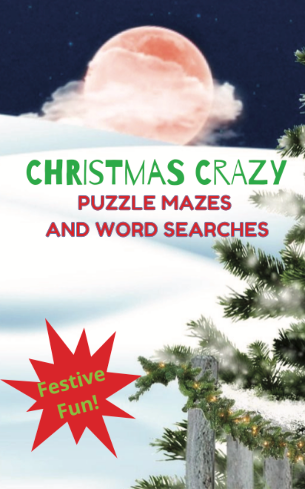 Christmas Crazy Puzzle Mazes and Word Searches