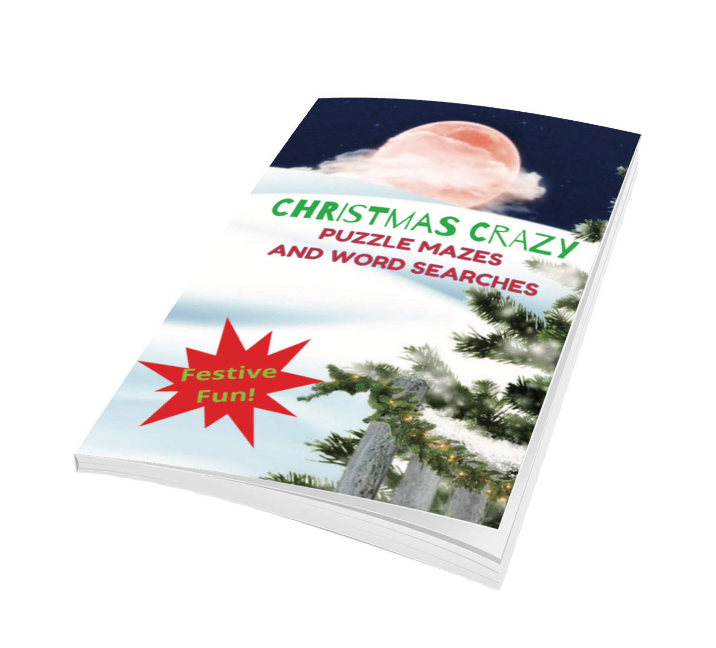 Christmas Crazy Puzzle Mazes and Word Searches