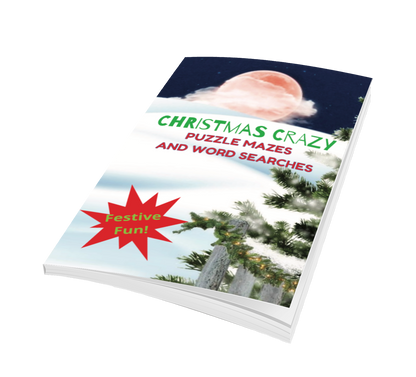 Christmas Crazy Puzzle Mazes and Word Searches
