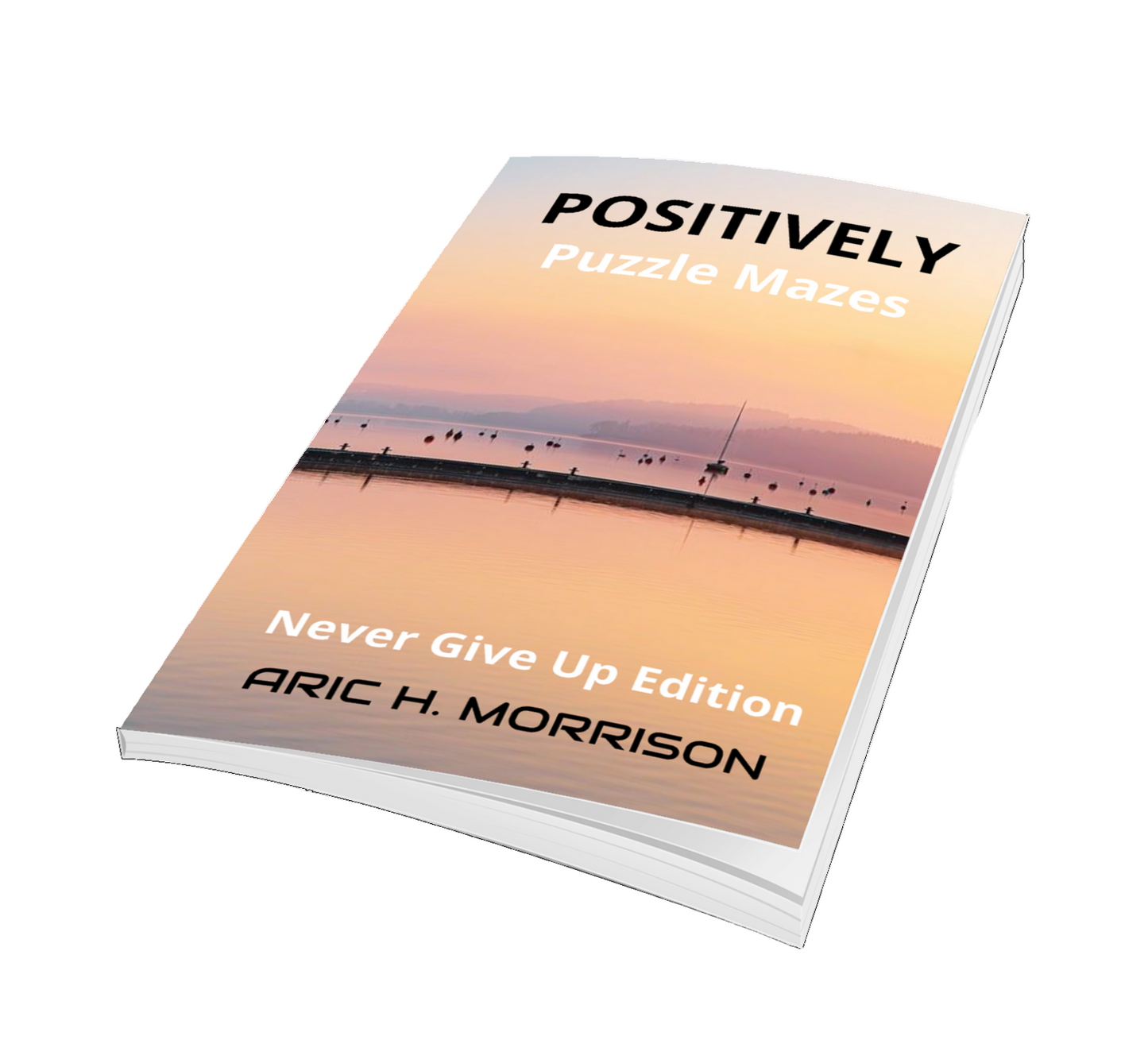 Positively Puzzle Mazes