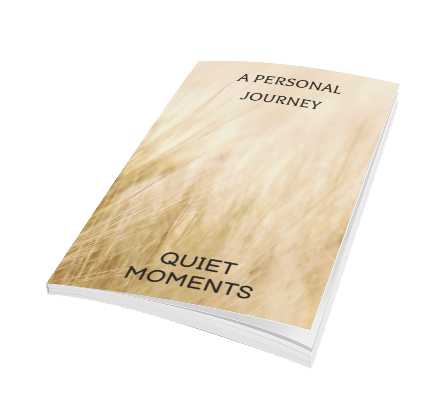 Quiet Moments My Personal Journey : Journal