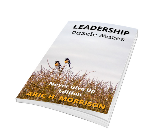 Leadership Puzzle Mazes