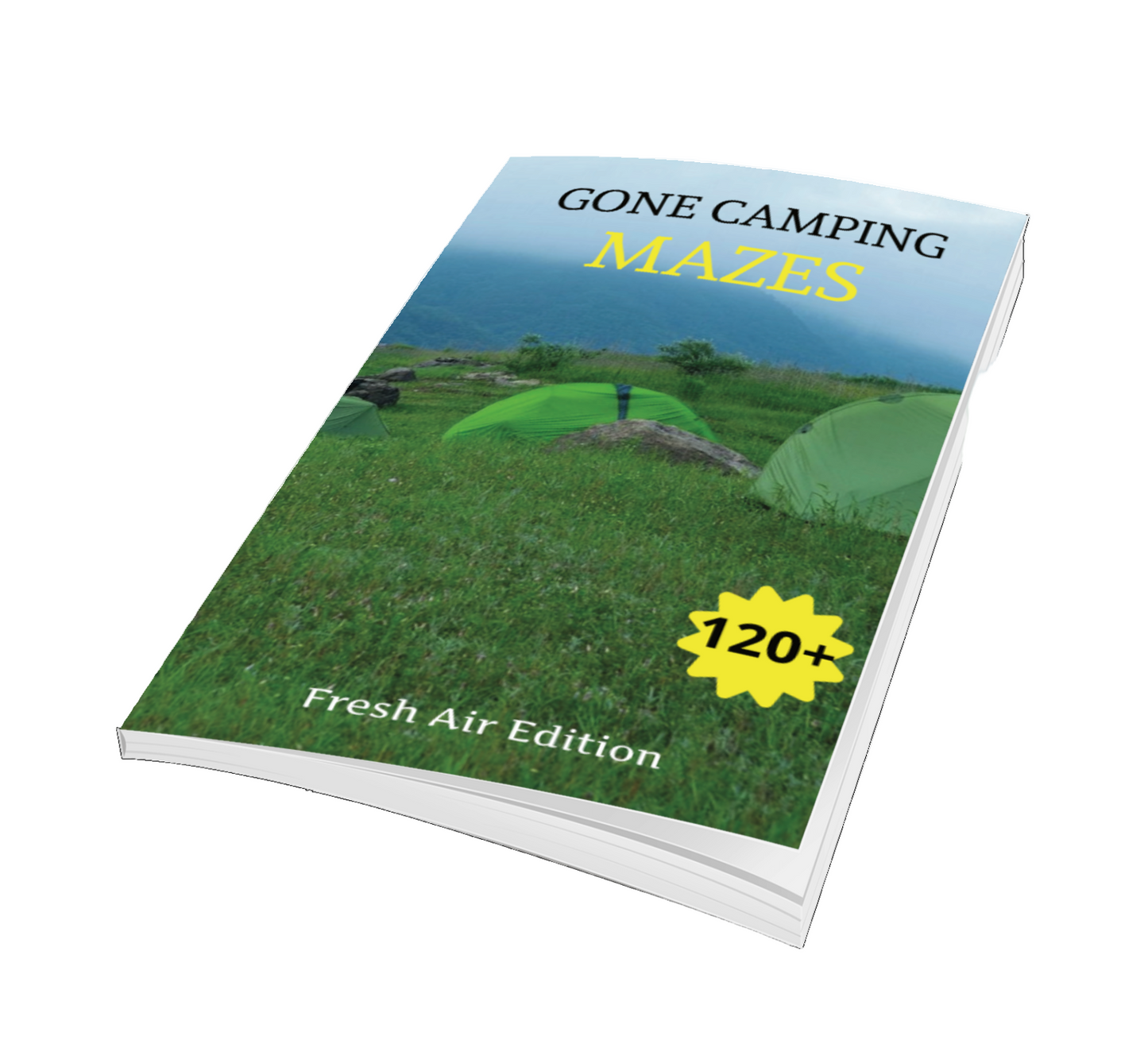 Gone Camping Puzzle Mazes